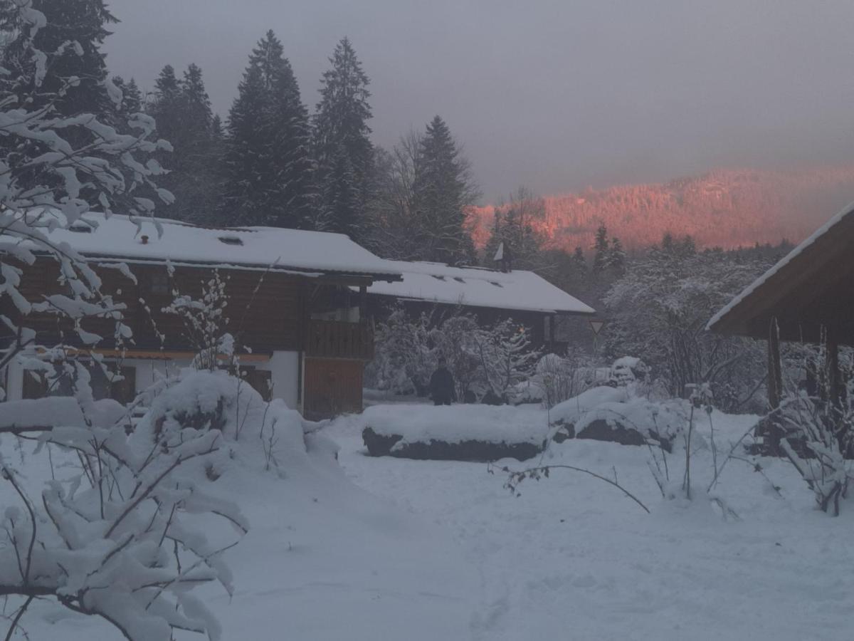 Huettenzauber Ferienwohnung Mitten Im Nationalpark Lindberg Esterno foto