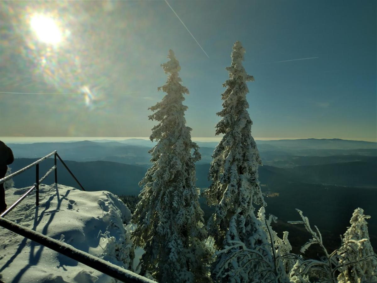 Huettenzauber Ferienwohnung Mitten Im Nationalpark Lindberg Esterno foto