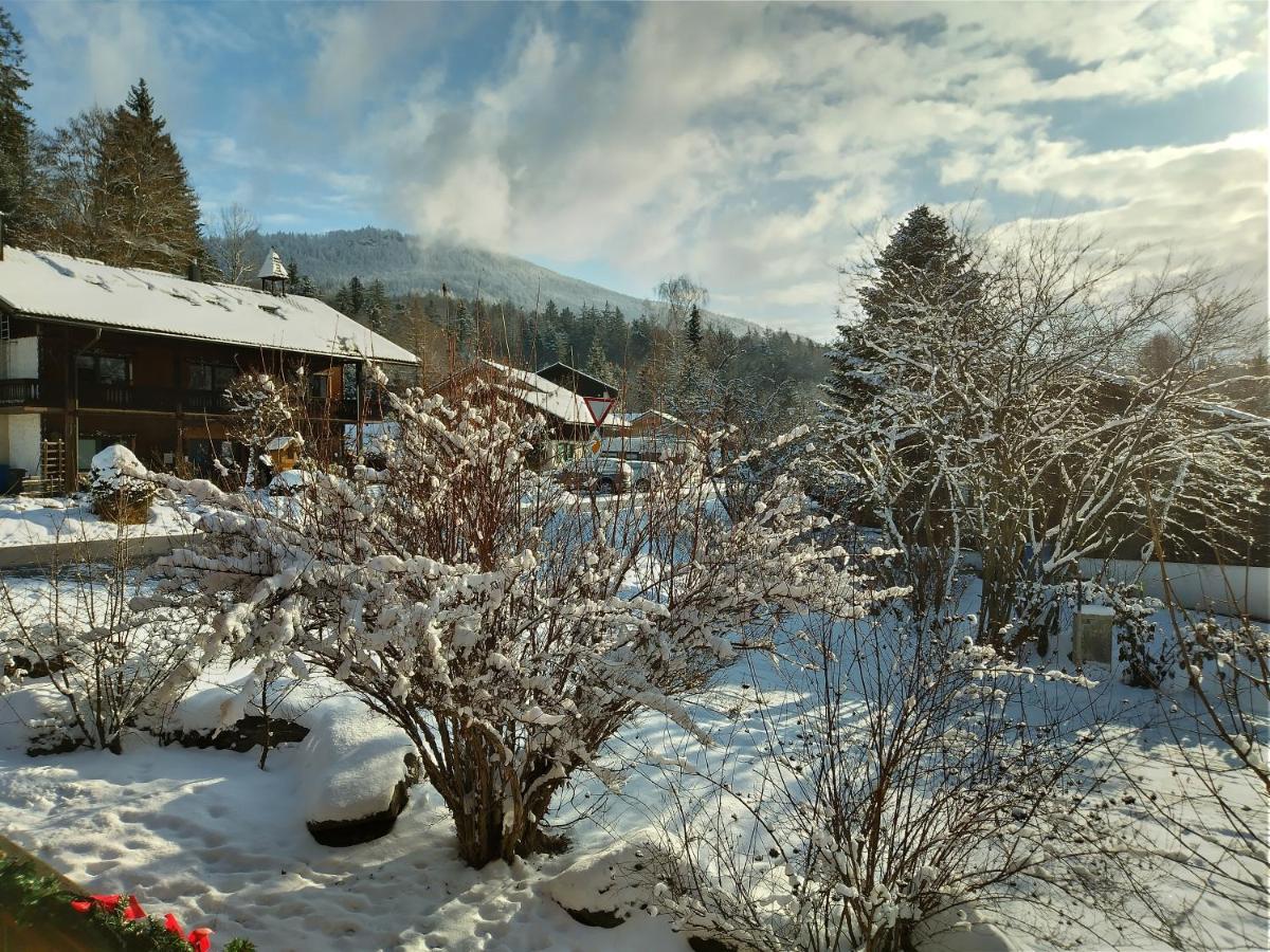 Huettenzauber Ferienwohnung Mitten Im Nationalpark Lindberg Esterno foto